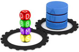 Database Management System