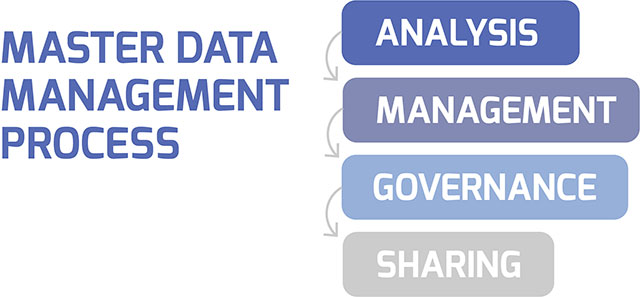 Master Data Management Process